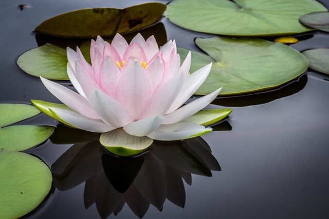 Yoga ondersteuner