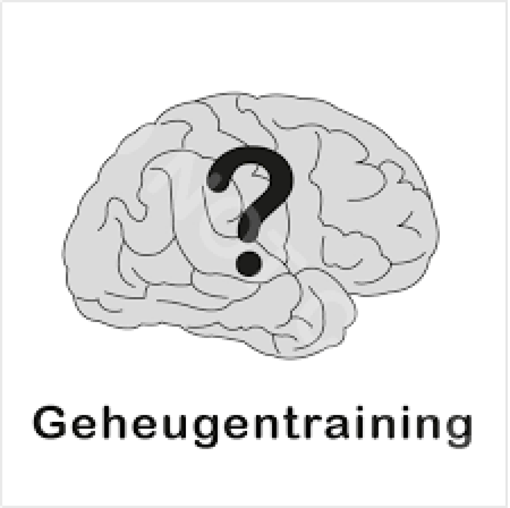 Ondersteuning tijdens de geheugengroep