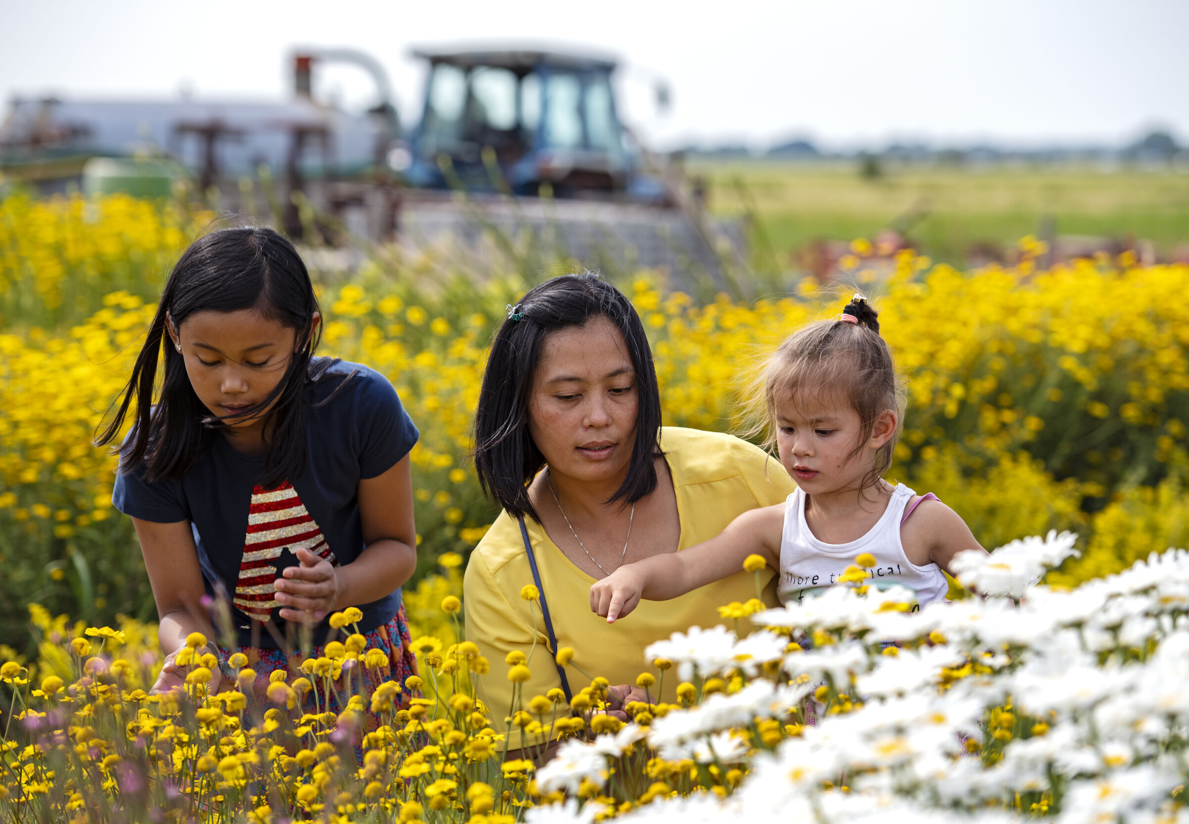 Denk mee over diversiteit & inclusie in de natuur rondom Rotterdam!