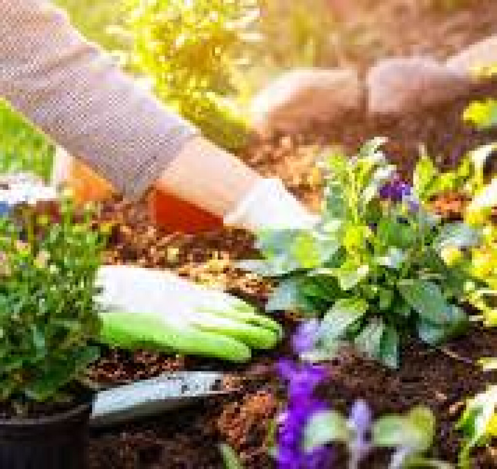 Groene vingers gezocht!