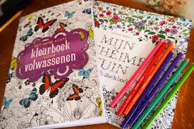 creatieve vrijwilliger gezocht voor een dame van 58 jaar.