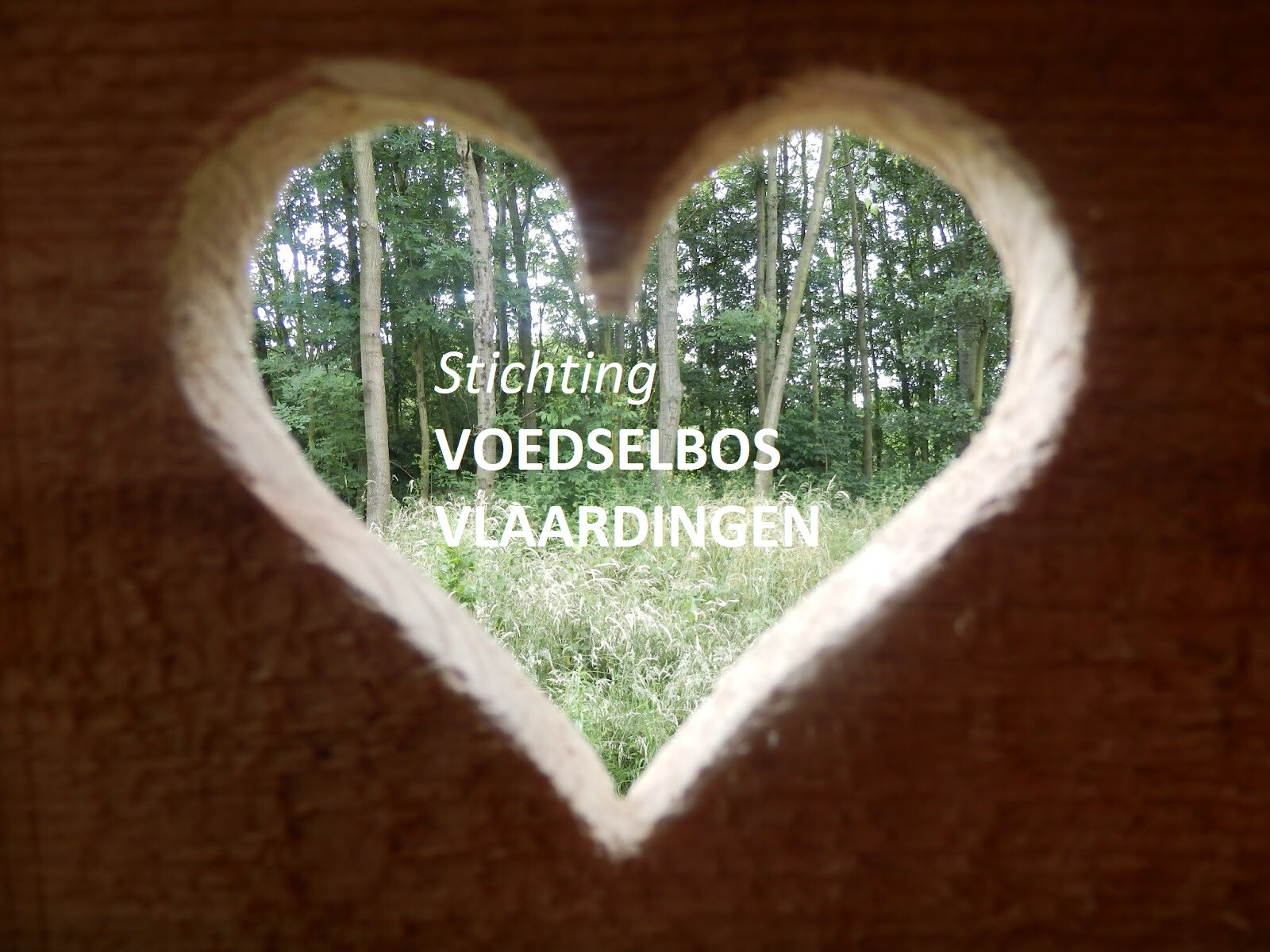 Twee kruidenliefhebbers voor de nieuwe belevingstuin in Voedselbos Vlaardingen