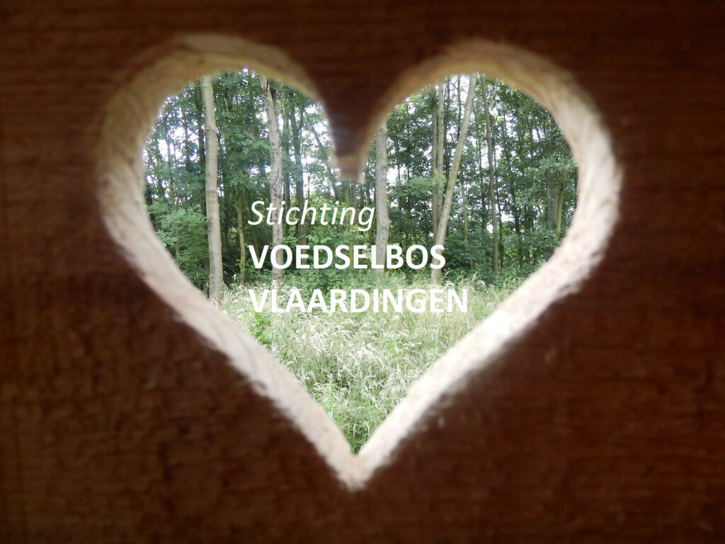 Twee kruidenliefhebbers voor de nieuwe belevingstuin in Voedselbos Vlaardingen