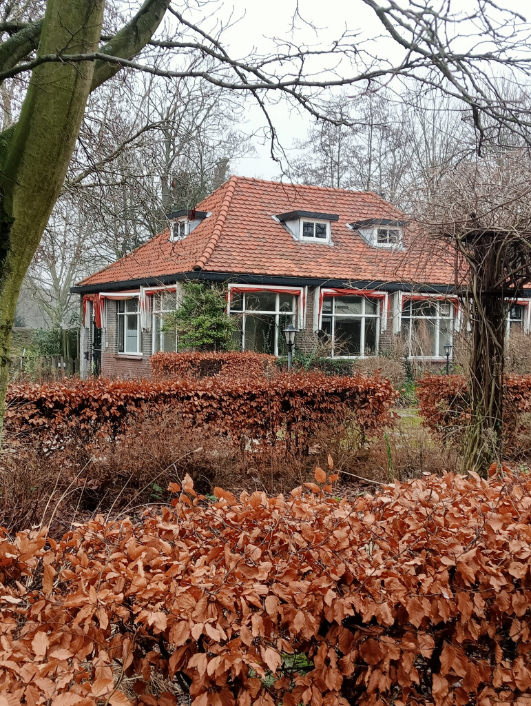 Algemeen medewerker