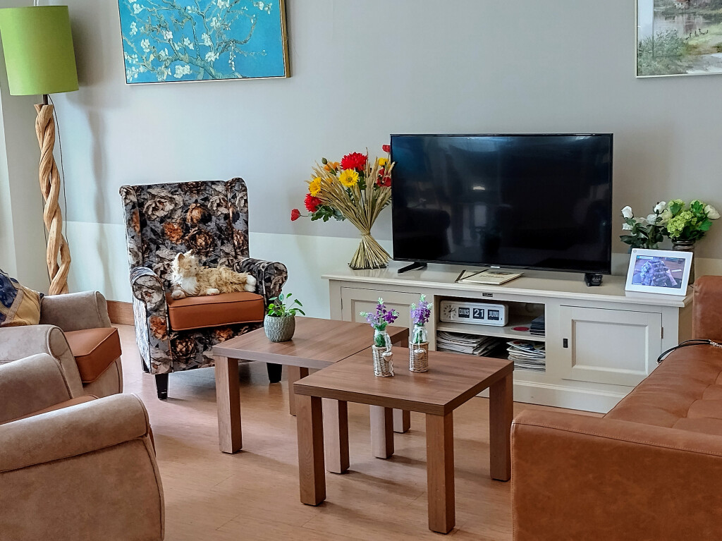 Maatjes gezocht om met onze bewoners te wandelen