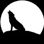 Gezocht vrijwilligers Blues Festival