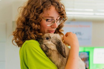 Verzorgers voor konijnen en knaagdieren