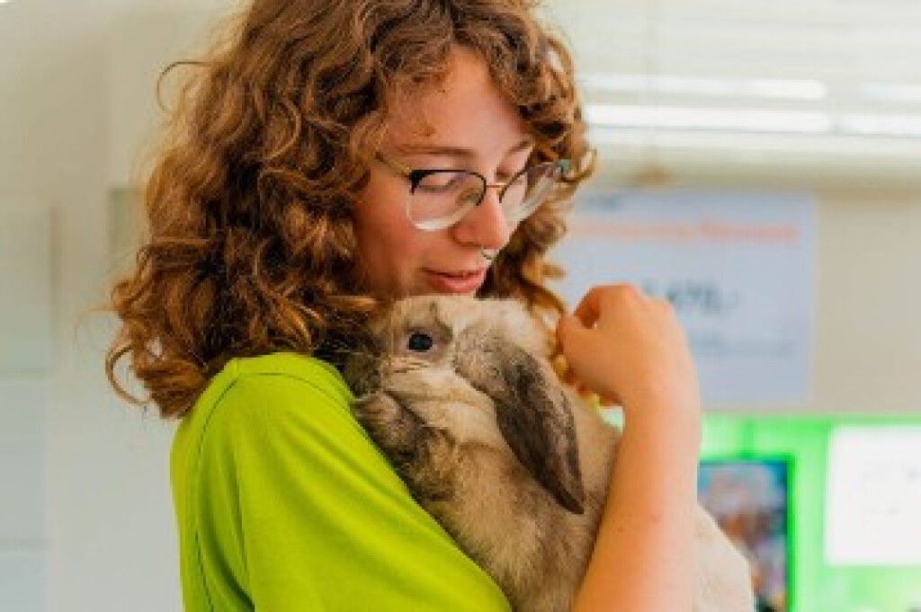 Verzorgers voor konijnen en knaagdieren