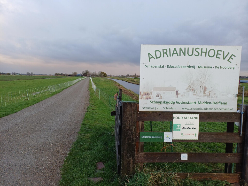 Vacature Coördinator (feestelijke) activiteiten