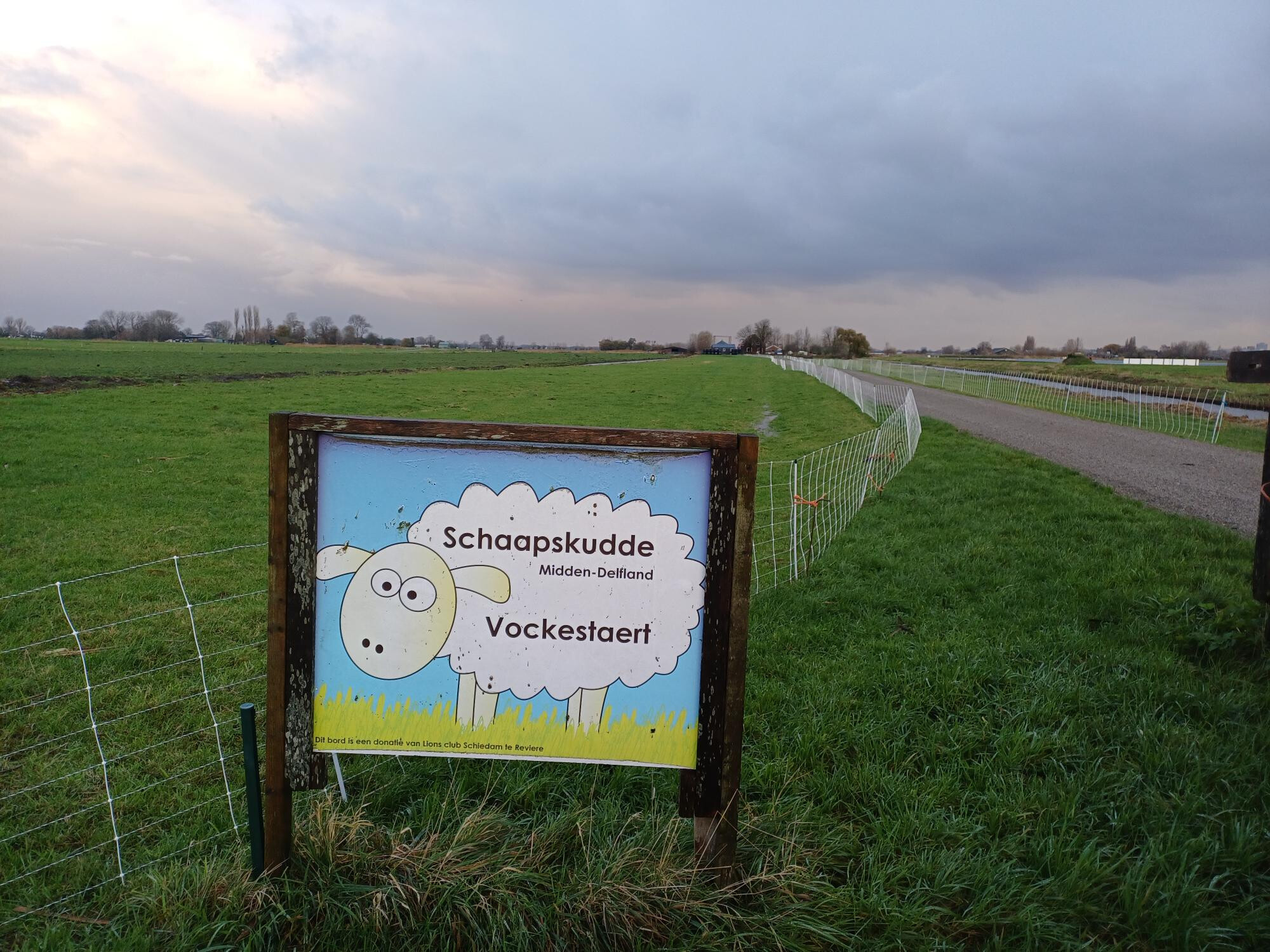 Stichting Schaapskudde Vockestaert MiddenDelfland zoekt een bestuurslid