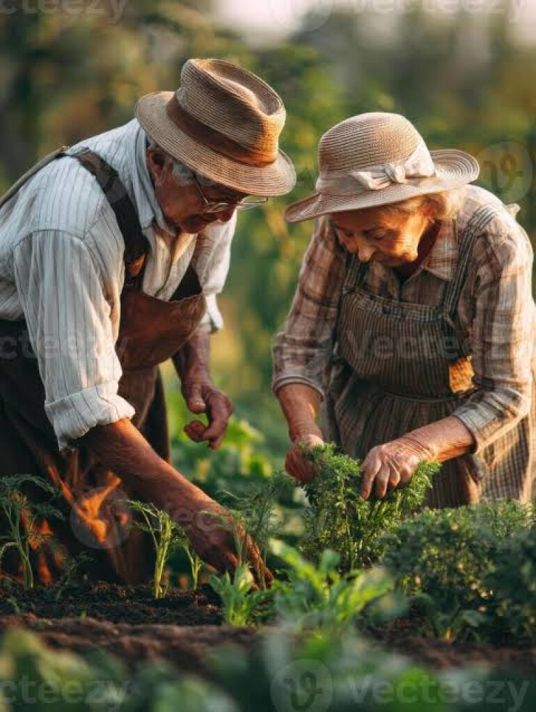 Groene vingers gezocht! Maak onze tuin én onze bewoners blij!